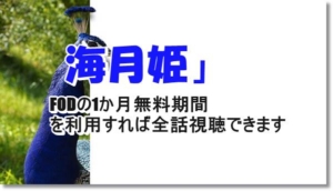海月姫