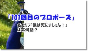 101回目のプロポーズ