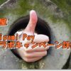 松屋＋Origami Payキャンペーン