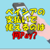 ベイシア支払い何ペイ